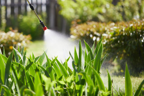 Tamper-Resistant Bait Stations for Rodents in North Prairie