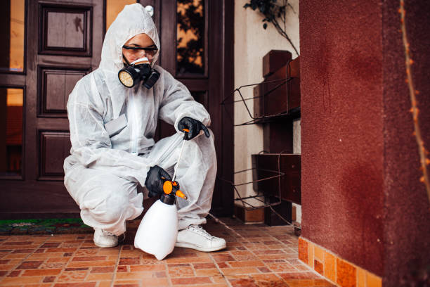 Attic and Crawl Space Rodent Treatment in North Prairie