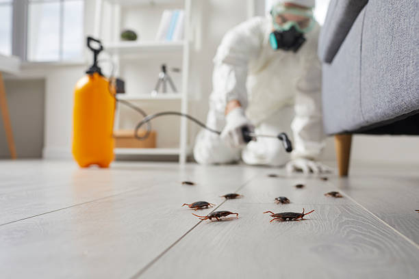 Commercial Rodent Management in North Prairie
